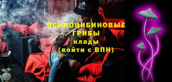 ПСИЛОЦИБИНОВЫЕ ГРИБЫ Балахна